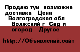 Продаю туи, возможна доставка › Цена ­ 1 000 - Волгоградская обл., Волжский г. Сад и огород » Другое   